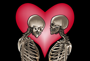 Image showing Skeletons With Love Heart 