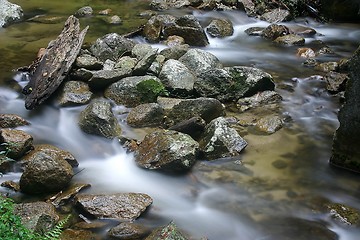 Image showing Stream and stones