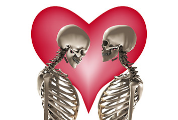 Image showing Skeletons With Love Heart 