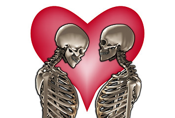 Image showing Skeletons With Love Heart 