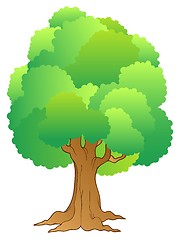 Image showing Big tree with green treetop