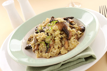 Image showing Mushroom Risotto