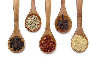 Image showing Spices