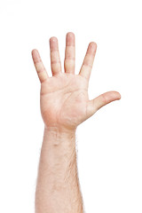 Image showing five fingers