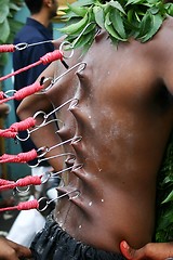 Image showing Thaipusam Devotees Walk