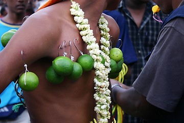 Image showing Thaipusam Devotees Walk