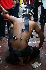 Image showing Thaipusam Devotees Walk