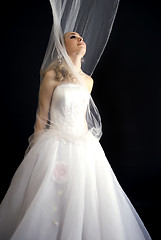 Image showing  Beautiful bride      