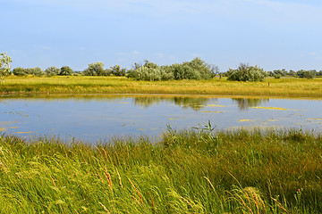 Image showing Salt lake near the sea