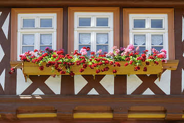 Image showing Windows with flower boxes