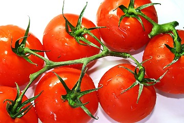 Image showing Tomatoes