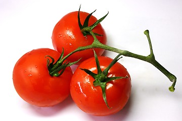 Image showing Tomatoes