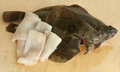 Image showing European plaice