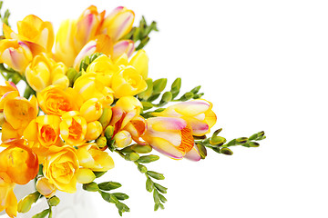 Image showing lovely freesia