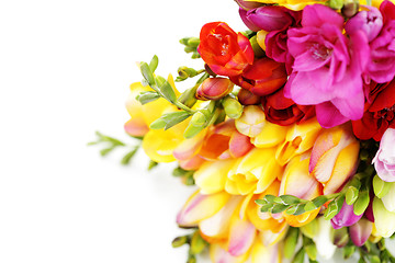 Image showing lovely freesia