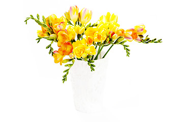 Image showing lovely freesia