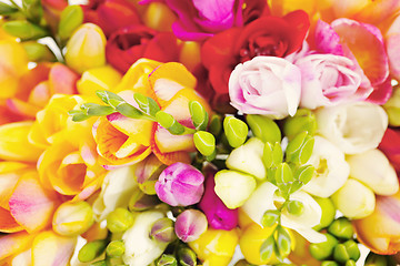 Image showing lovely freesia flowers