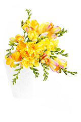 Image showing lovely freesia