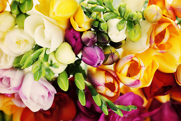 Image showing lovely freesia flowers