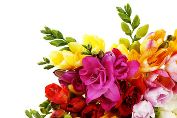 Image showing lovely freesia