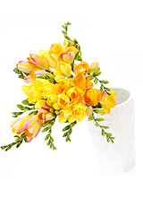 Image showing lovely freesia