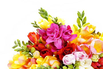 Image showing lovely freesia