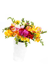 Image showing lovely freesia