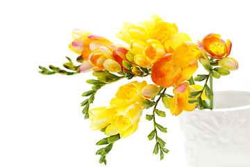 Image showing lovely freesia