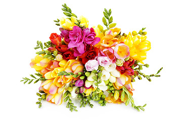 Image showing lovely freesia