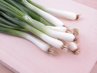 Image showing chive