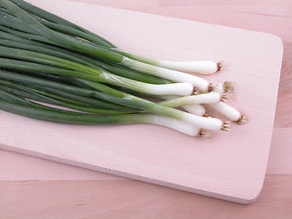 Image showing chive