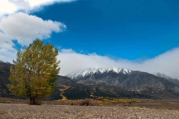 Image showing snow clad