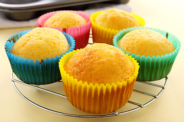 Image showing Baked Cup Cakes