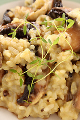 Image showing Mushroom Risotto