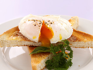 Image showing Sliced Poached Egg