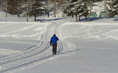 Image showing Skiing