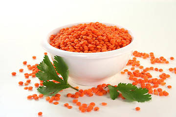 Image showing Red lentils