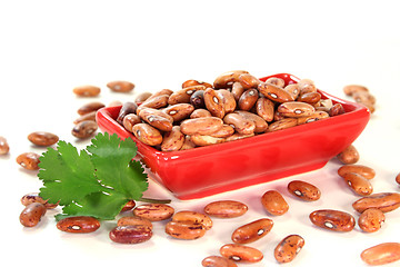 Image showing Beans