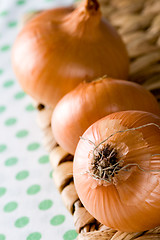 Image showing ripe onions 