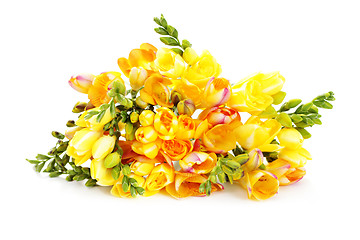 Image showing lovely freesia