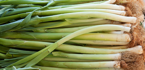 Image showing green, fresh leeks