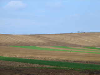 Image showing fields