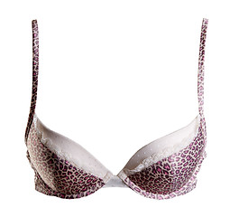 Image showing Bra with leopard pattern