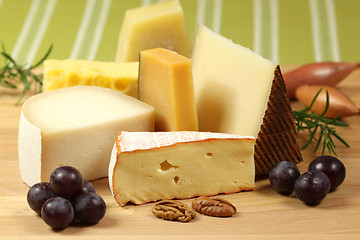 Image showing Cheese variety