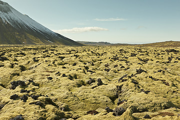 Image showing Icelandic landscape