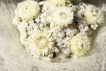 Image showing Arrangement of White Flowers