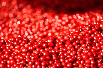 Image showing Cranberries