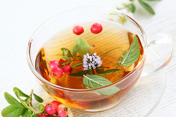 Image showing Vitality cranberry tea