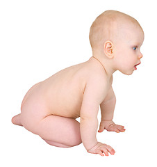 Image showing Cute infant crawl on white background