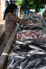 Image showing Malay Girl Selling Fish